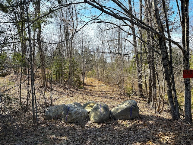 00 N Rd, Parsonsfield, ME 04047