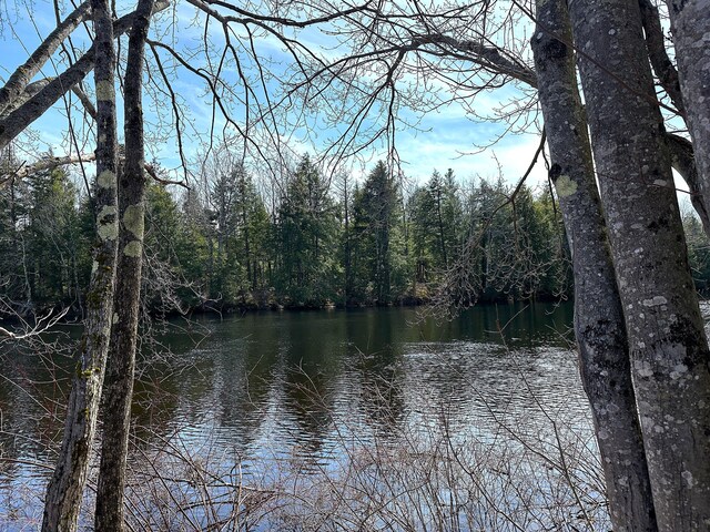 00 N Rd, Parsonsfield, ME 04047