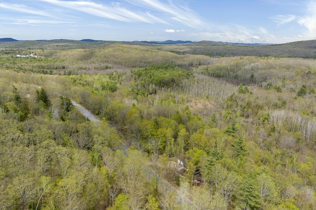 232 Bond Spring Rd, Newfield, ME 04095 - aerial view of a forest and a mountain backdrop