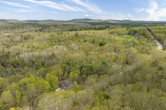 232 Bond Spring Rd, Newfield, ME 04095 - view of mountain background with a forest