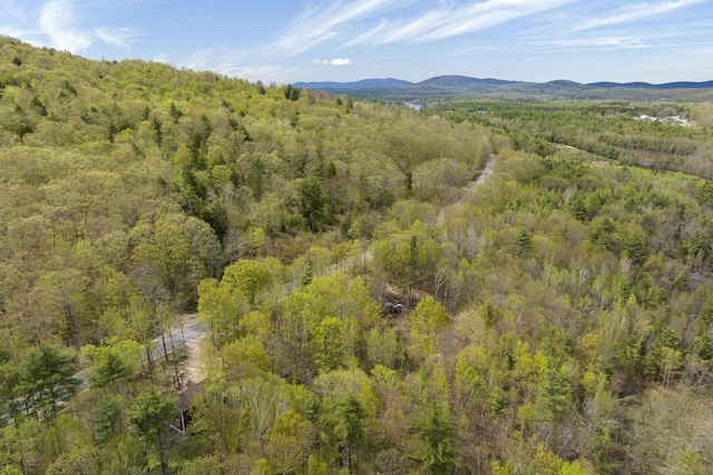 232 Bond Spring Rd, Newfield, ME 04095 - view of mountain backdrop featuring a forest