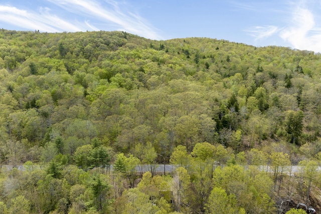 232 Bond Spring Rd, Newfield, ME 04095 - mountain view featuring a heavily wooded area