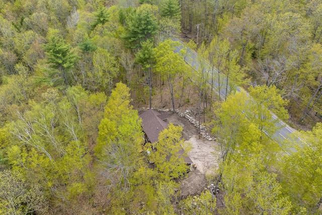 232 Bond Spring Rd, Newfield, ME 04095 - bird's eye view of a heavily wooded area