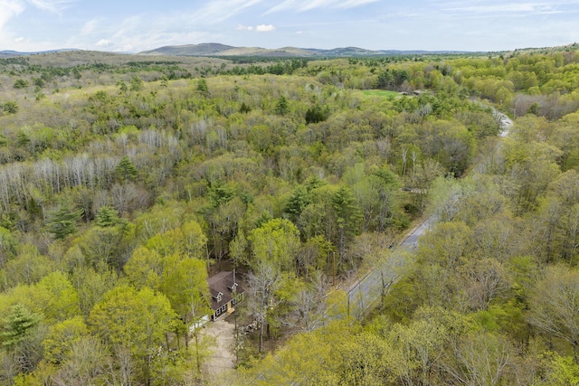 232 Bond Spring Rd, Newfield, ME 04095 - aerial view of a forest and a mountainous background