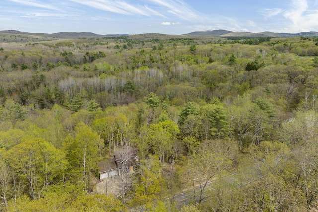 232 Bond Spring Rd, Newfield, ME 04095 - mountain view with a heavily wooded area