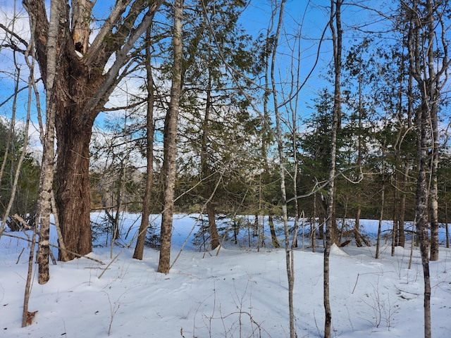 Listing photo 2 for LOT49-1 Dunn Rd, Dexter ME 04930