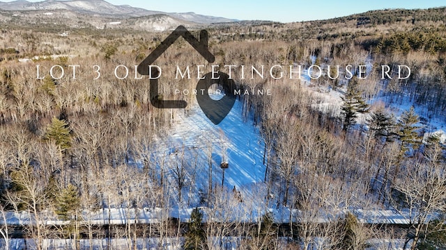 LOT3 Old Meetinghouse Rd, Porter ME, 04068 land for sale