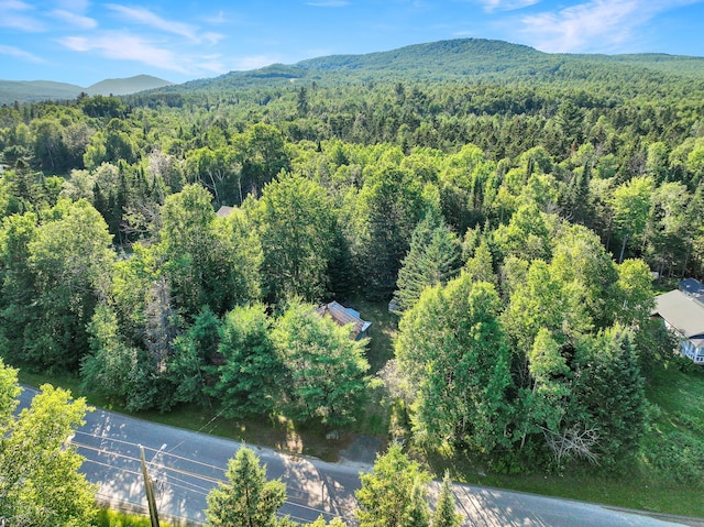 6049 Arnold Trl, Coburn Gore, ME 04936 - aerial view of property and surrounding area featuring a forest and a mountainous background