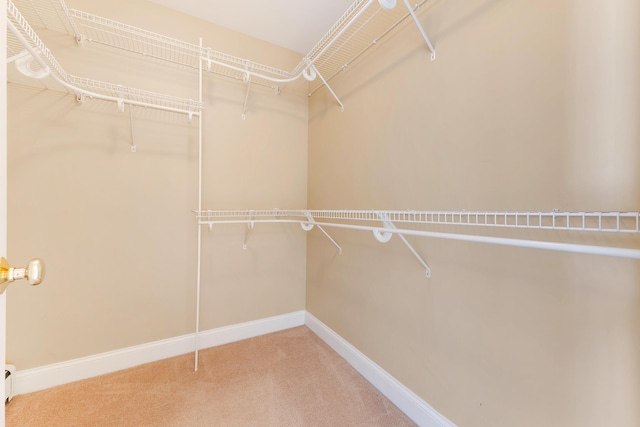 spacious closet with carpet