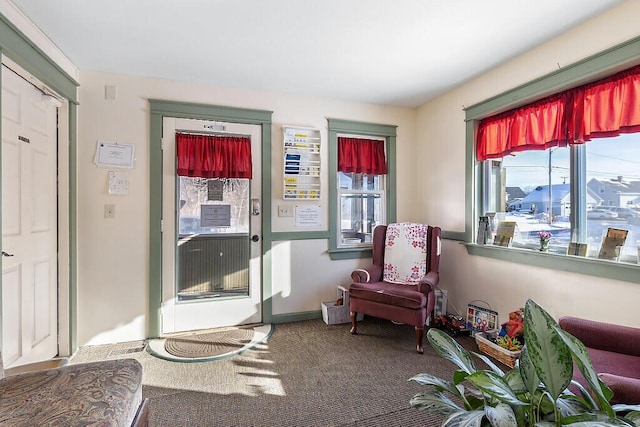 living area featuring carpet floors