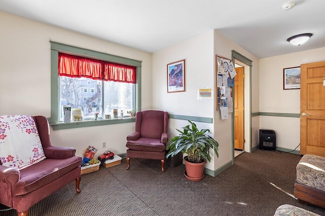 sitting room with dark carpet