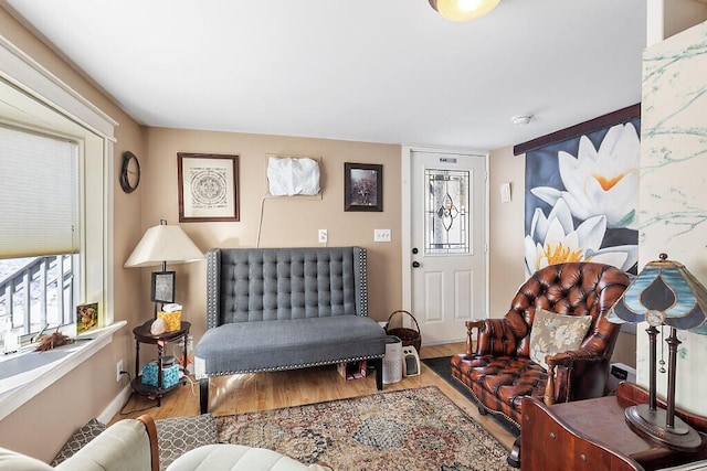 living area featuring hardwood / wood-style flooring and a wealth of natural light