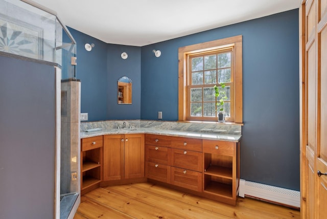 bathroom featuring wood finished floors and vanity