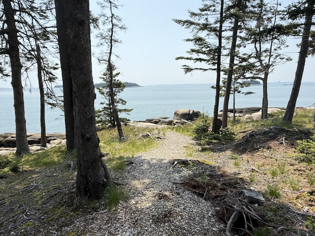 37 Walker Point Rd, Stonington, ME 04681 - photo 50