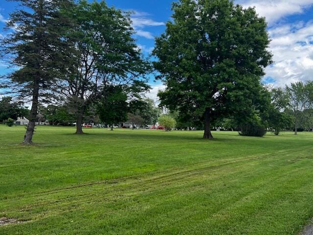 view of community featuring a yard