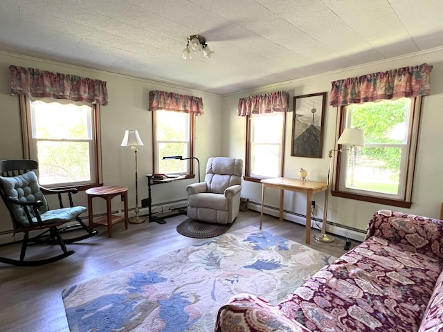 96 Exeter Rd, Garland, ME 04939 - sitting room featuring wood finished floors, a baseboard radiator, and ornamental molding