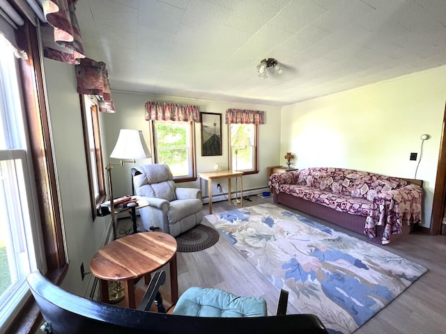 96 Exeter Rd, Garland, ME 04939 - living room with wood finished floors
