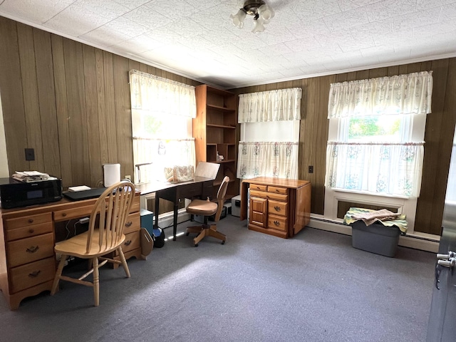 96 Exeter Rd, Garland, ME 04939 - office space featuring wood walls, carpet, and a baseboard heating unit