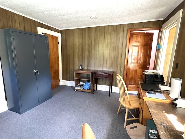 96 Exeter Rd, Garland, ME 04939 - carpeted office featuring wood walls and crown molding