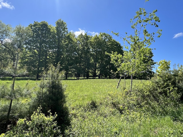 96 Exeter Rd, Garland, ME 04939 - view of yard