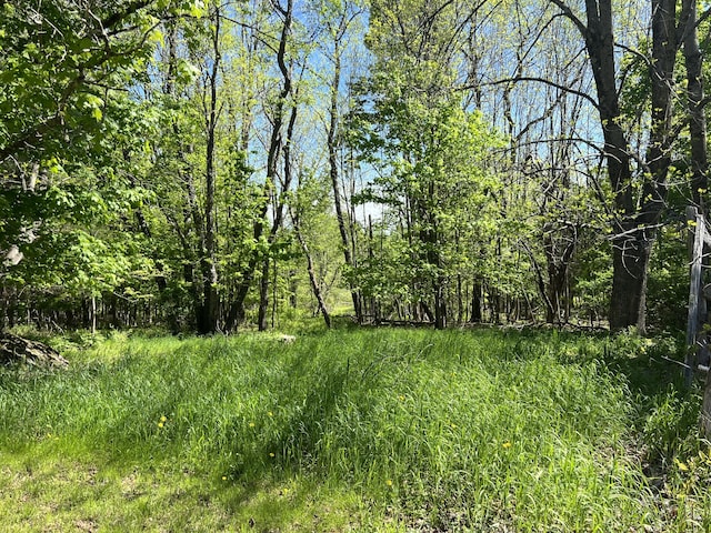96 Exeter Rd, Garland, ME 04939 - view of local wilderness