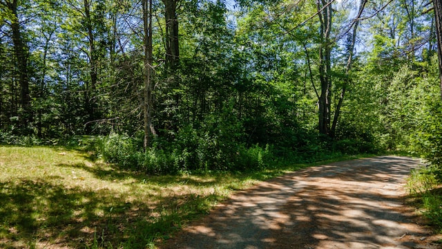 M12L19 Rocque Ln, Augusta, ME 04330