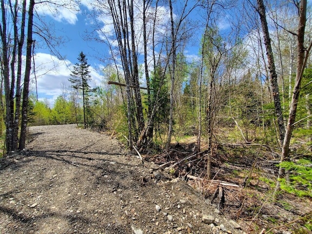 LOT2 Cone Rd, Amity, ME 04471 - photo 3