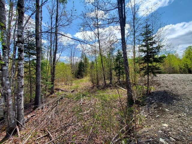 LOT2 Cone Rd, Amity, ME 04471 - photo 5