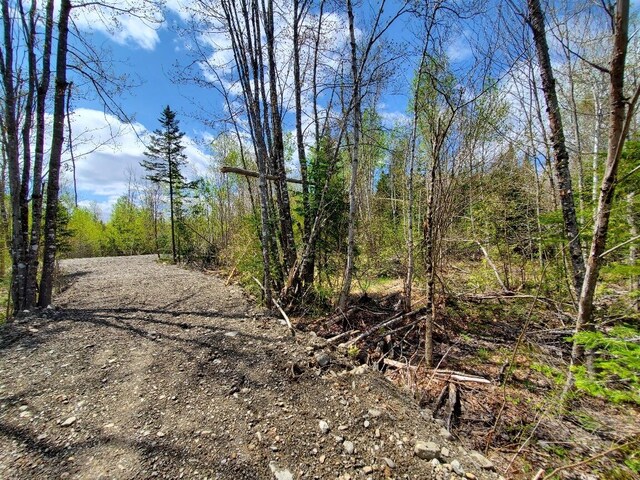 LOT2 Cone Rd, Amity, ME 04471 - photo 7