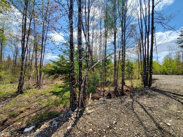 LOT2 Cone Rd, Amity, ME 04471 - photo 8