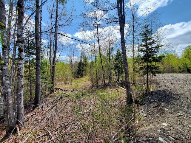 LOT2 Cone Rd, Amity, ME 04471 - photo 9