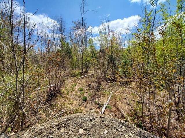 LOT2 Cone Rd, Amity, ME 04471 - photo 10