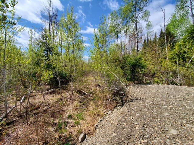 LOT2 Cone Rd, Amity, ME 04471 - photo 11