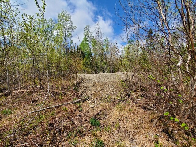 LOT2 Cone Rd, Amity, ME 04471 - photo 12