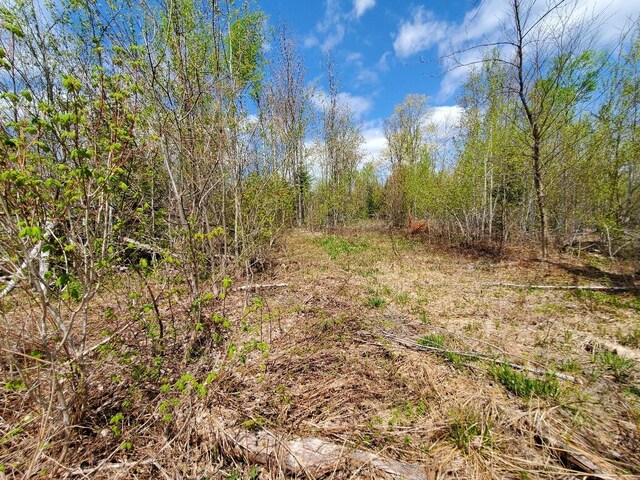 LOT2 Cone Rd, Amity, ME 04471 - photo 13