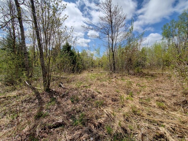 LOT2 Cone Rd, Amity, ME 04471 - photo 14