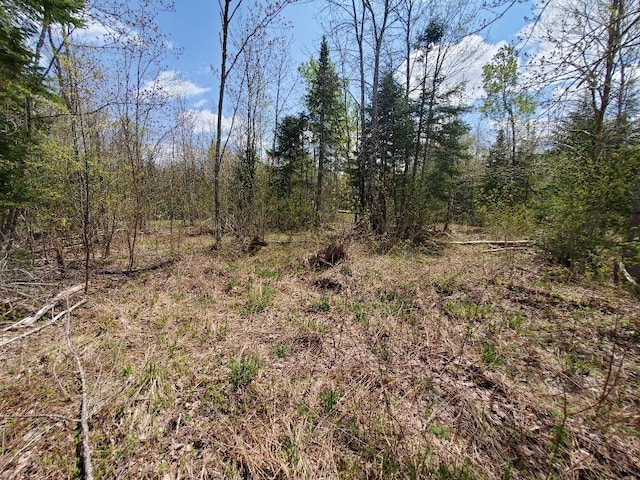 LOT2 Cone Rd, Amity, ME 04471 - photo 15