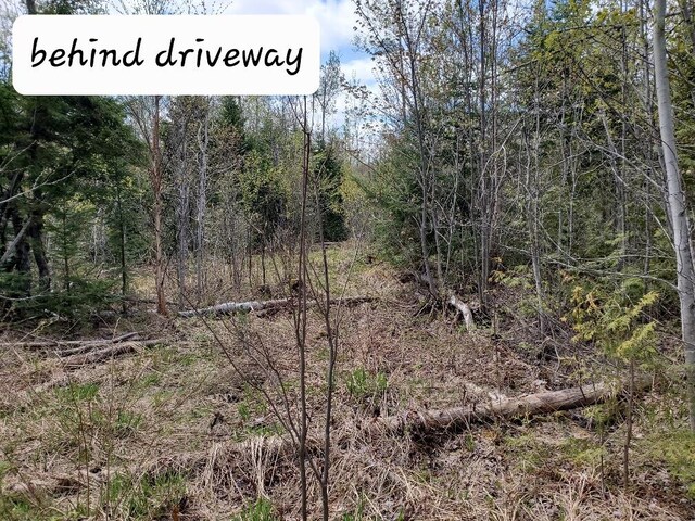 LOT2 Cone Rd, Amity, ME 04471 - photo 17