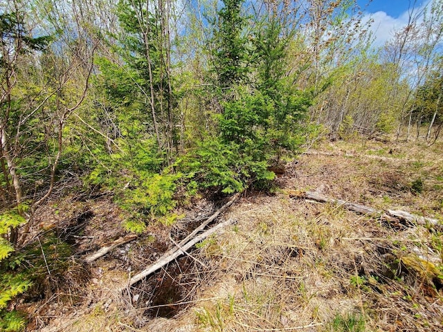 LOT2 Cone Rd, Amity, ME 04471 - photo 18