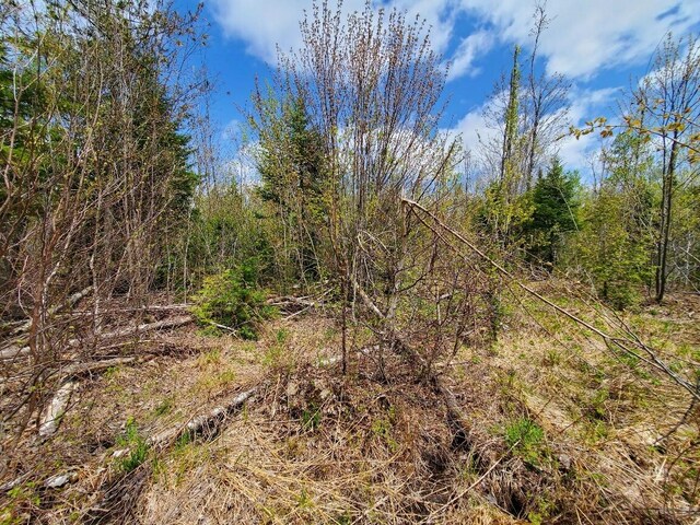 LOT2 Cone Rd, Amity, ME 04471 - photo 19
