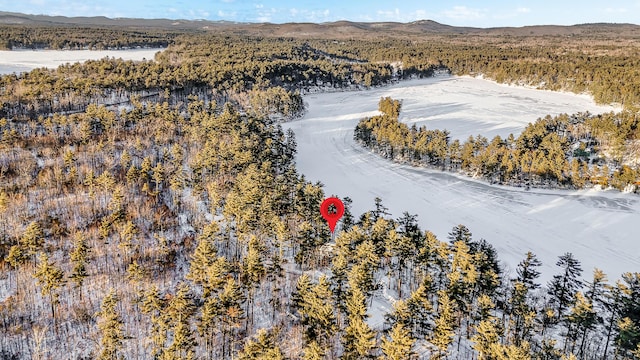 bird's eye view with a mountain view and a view of trees