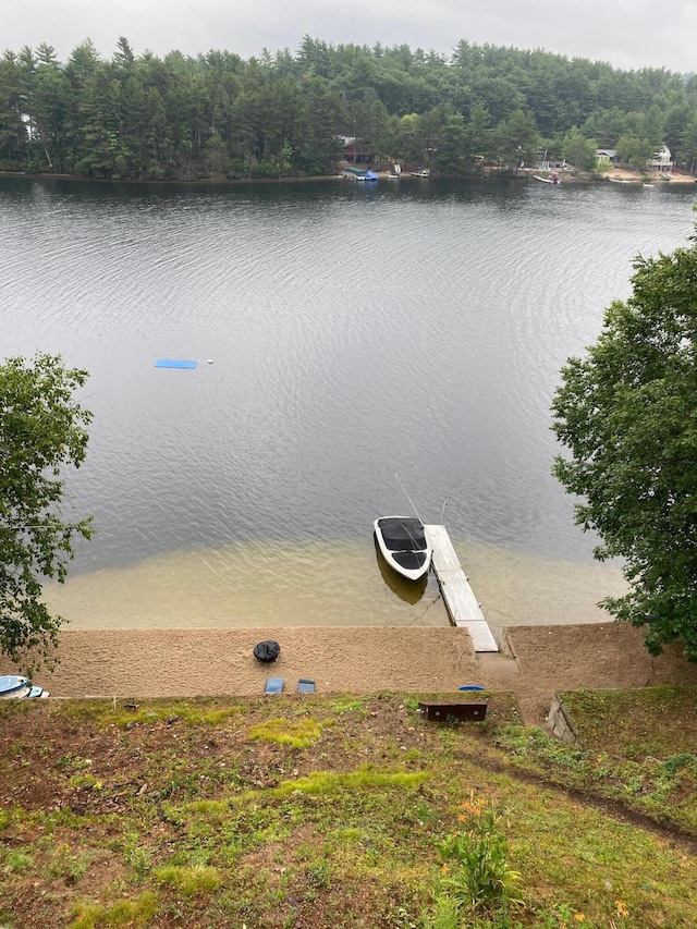view of water feature with a view of trees