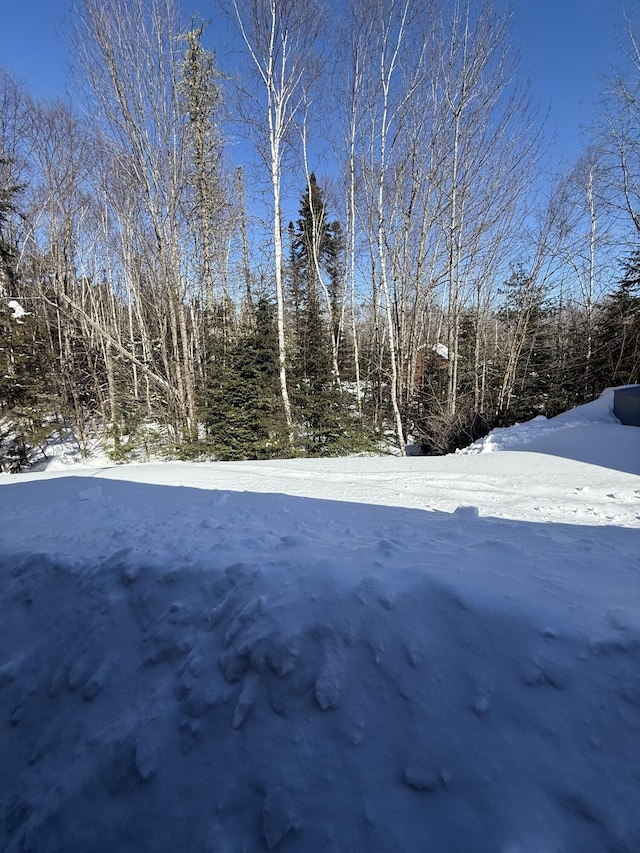 9 Ledge Dr, Greenville, ME 04441 - view of yard covered in snow