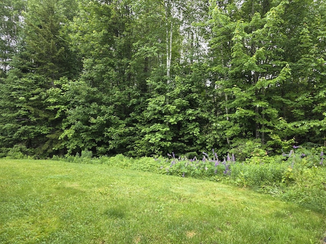9 Ledge Dr, Greenville, ME 04441 - photo 8