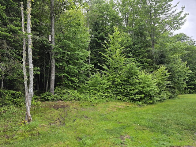 9 Ledge Dr, Greenville, ME 04441 - photo 9