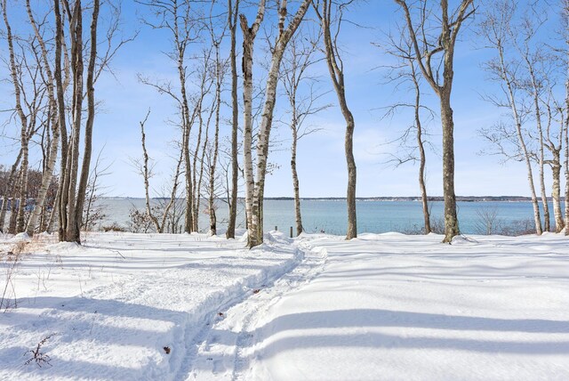 48 Pond Rd, Chebeague Island, ME 04017 - photo 23