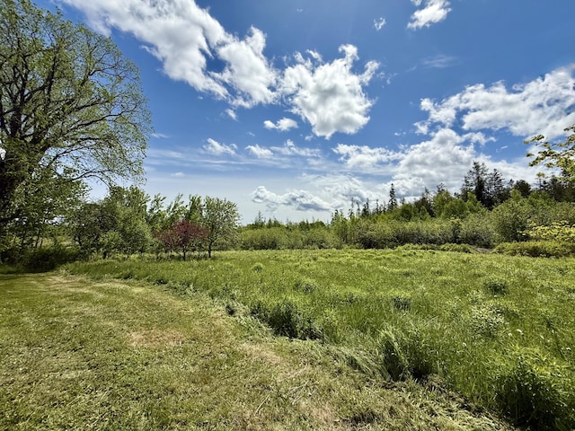 149 Old Eastport Rd, Perry, ME 04667 - view of local wilderness