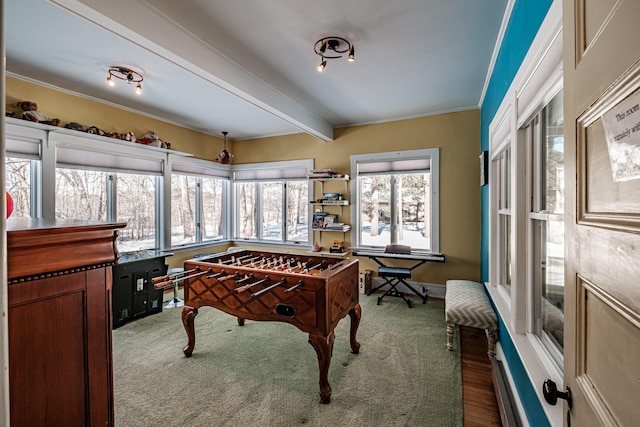 rec room with ornamental molding and beam ceiling