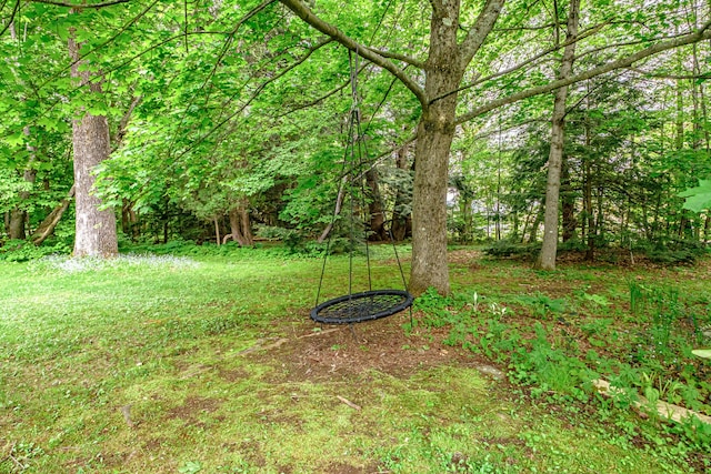 67 Broad St, Bethel, ME 04217 - view of yard