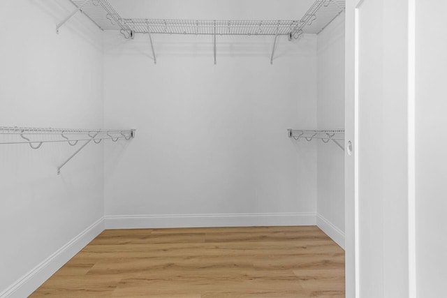 walk in closet featuring light wood-type flooring